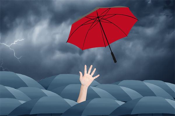 深陷同质化竞争，战略咨询为企业量身打造差异化利刃