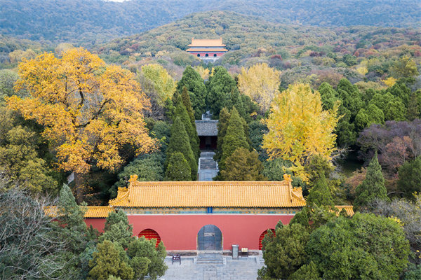 集团与子公司管控失衡，南京集团管控咨询公司如何重塑协同体系？