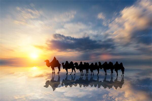 战略与文化脱节，企业理念如何落地支撑发展？