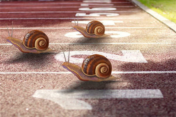 新业务拓展艰难，年度经营计划为其定制专属发展路径