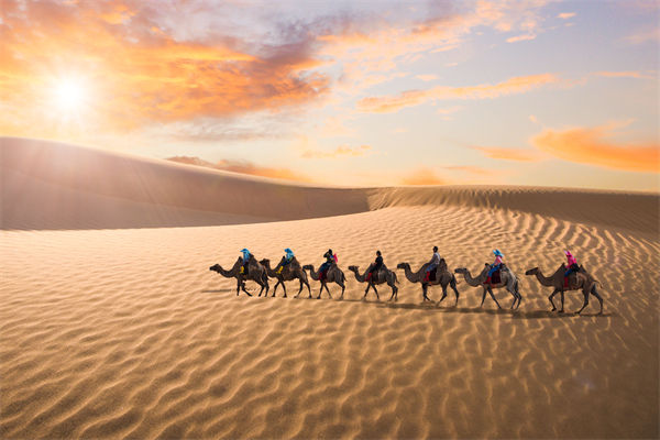 企业文化管理失效？这三大认知误区为何拖垮团队？