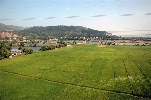 清远人力资源咨询公司量体裁衣，如何激活企业人才发展新动能？