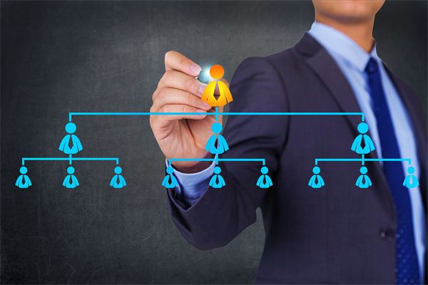 组织规划管理框架完整，为何部门协作仍存在诸多堵点？