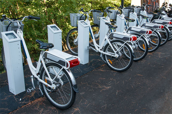 关联企业战略分析：最严电动自行车国标即将实施