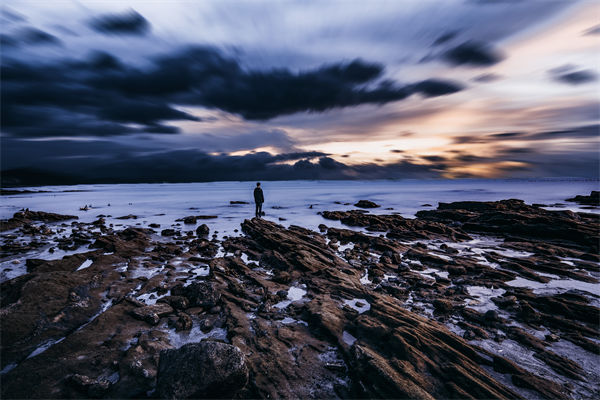 集团管控体系日趋完善，子公司市场应变力为何变弱？
