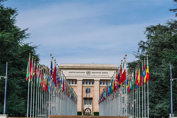 英法等25国发表联合声明，企业组织规划有何启示？