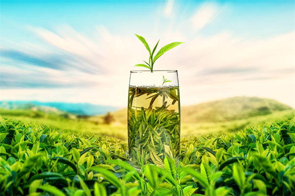 供应链管理分析：多个奶茶品牌回应检出反式脂肪酸