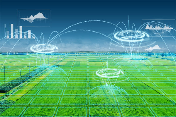 温州种出2.1米高巨型水稻，精益生产怎么看？