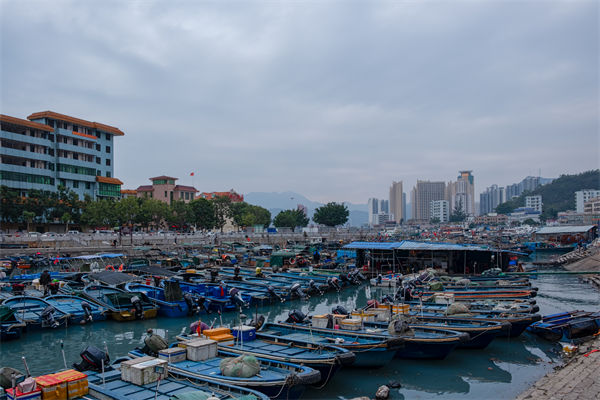 精益生产分析：开海第一网捞8000斤，船长合不拢嘴