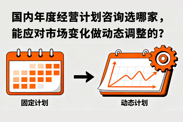 国内年度经营计划咨询选哪家，能应对市场变化做动态调整的？